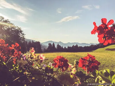 Der Rahmhof Bild 23